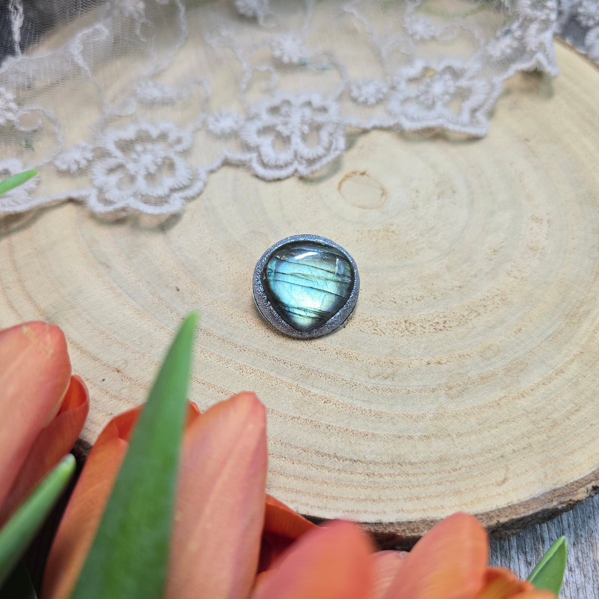 Maža labradorito sagė