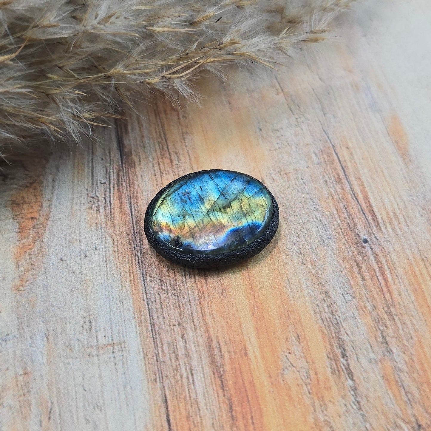 Labradoritas sargas, mažiukas