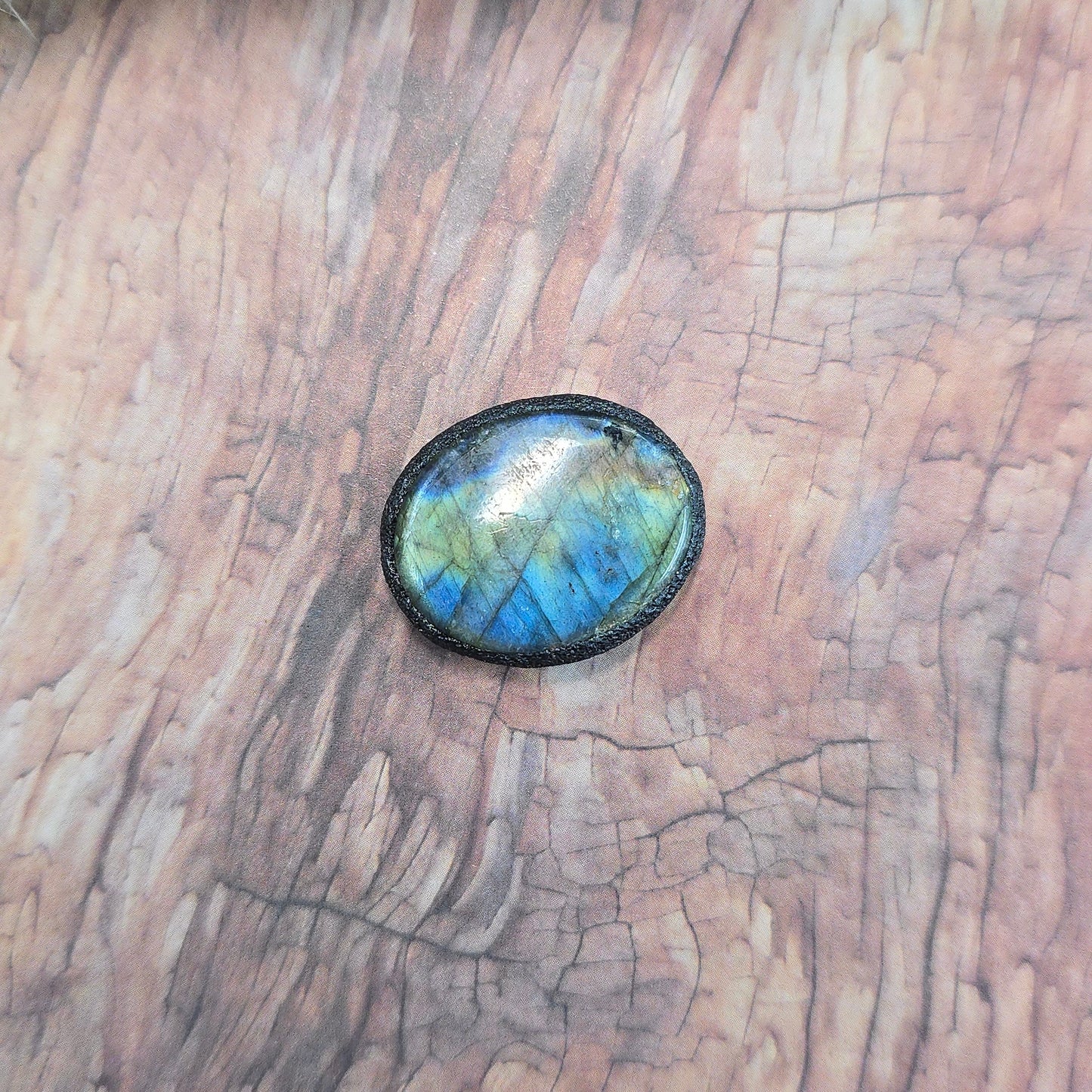 Labradoritas sargas, mažiukas