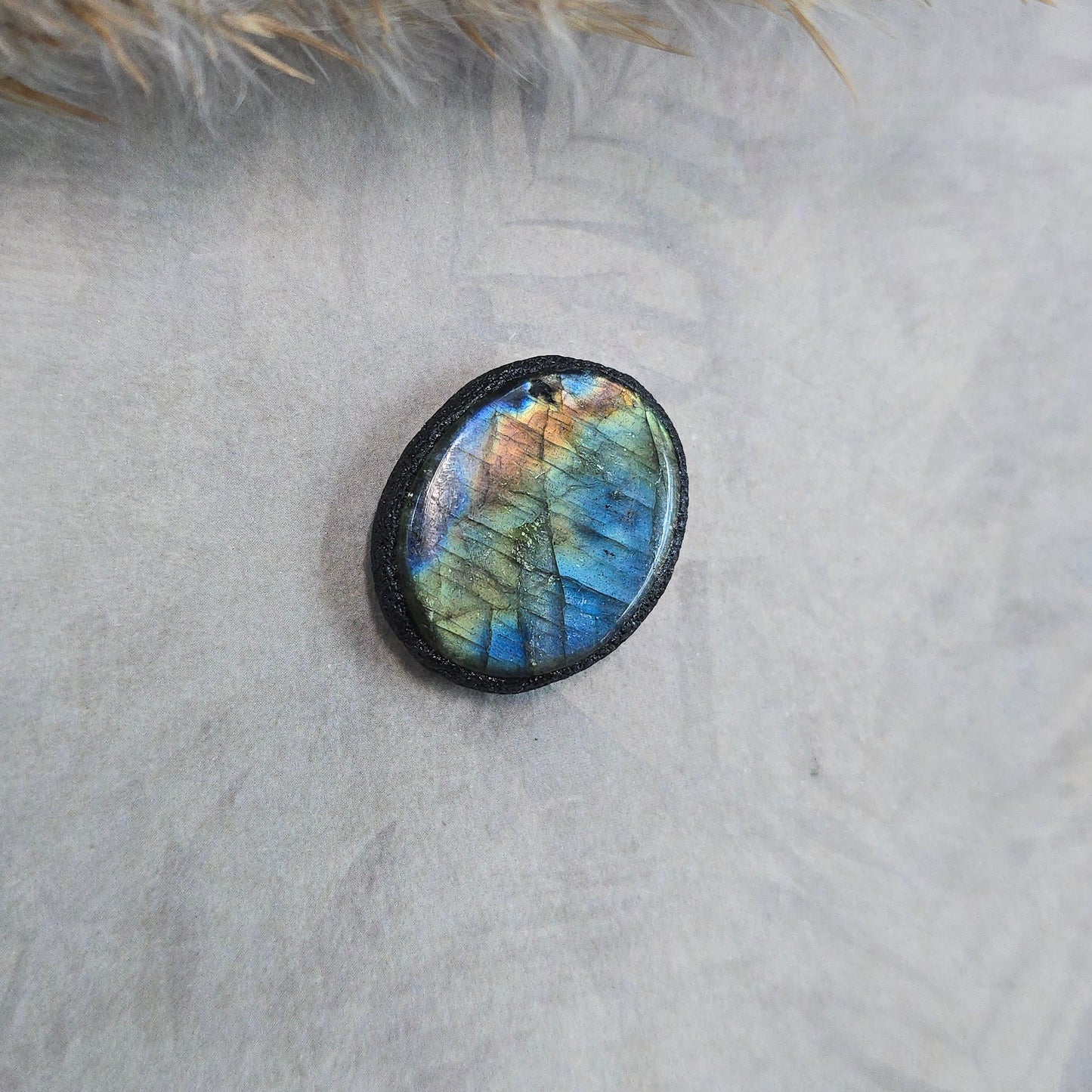 Labradoritas sargas, mažiukas