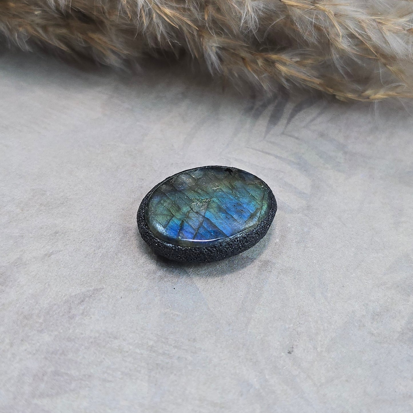 Labradoritas sargas, mažiukas