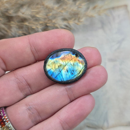 Labradoritas sargas, mažiukas