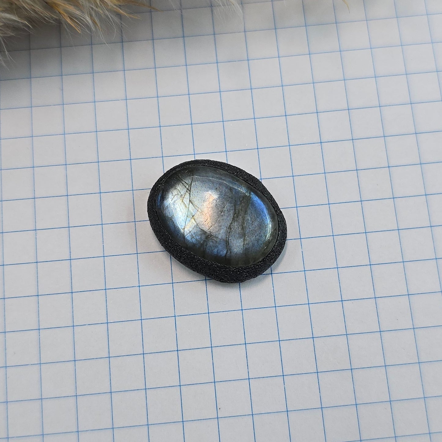 Labradoritas sargas, mažiukas