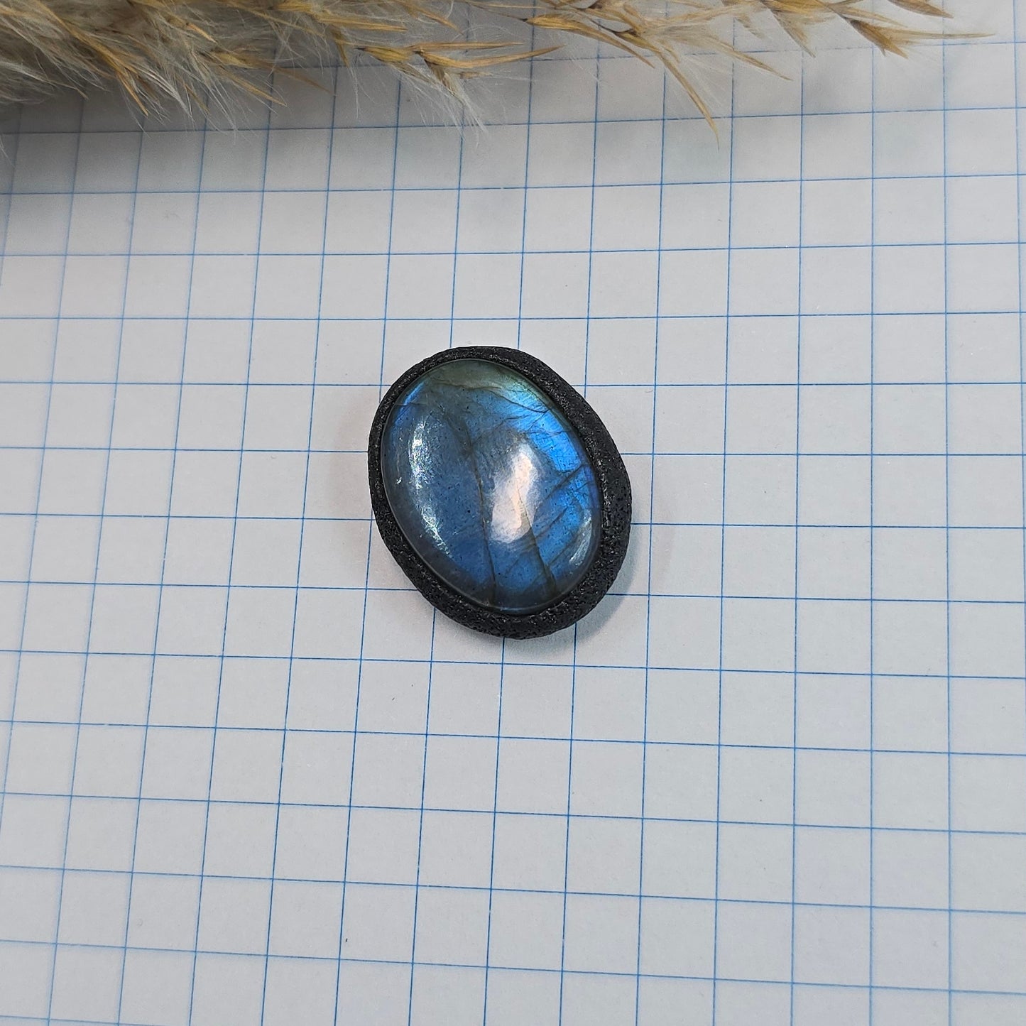 Labradoritas sargas, mažiukas