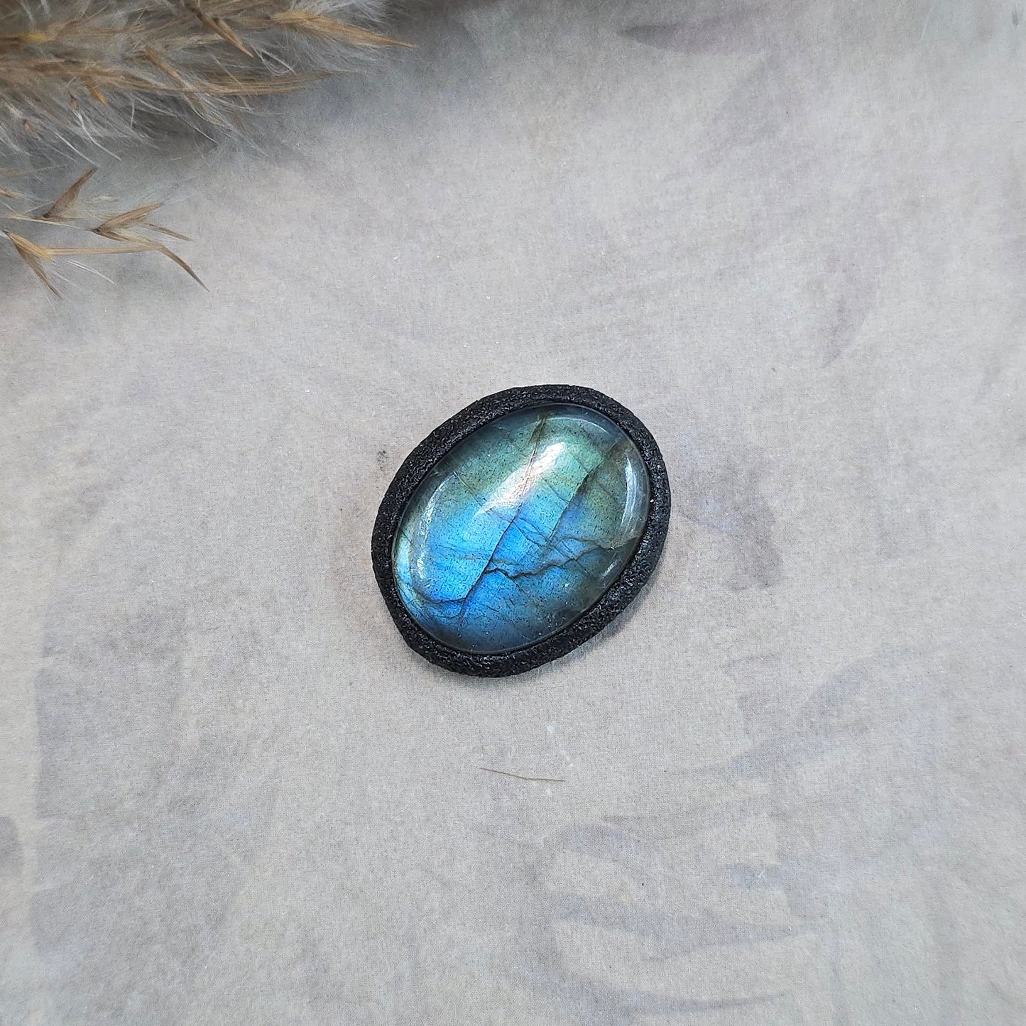 Labradoritas sargas, mažiukas