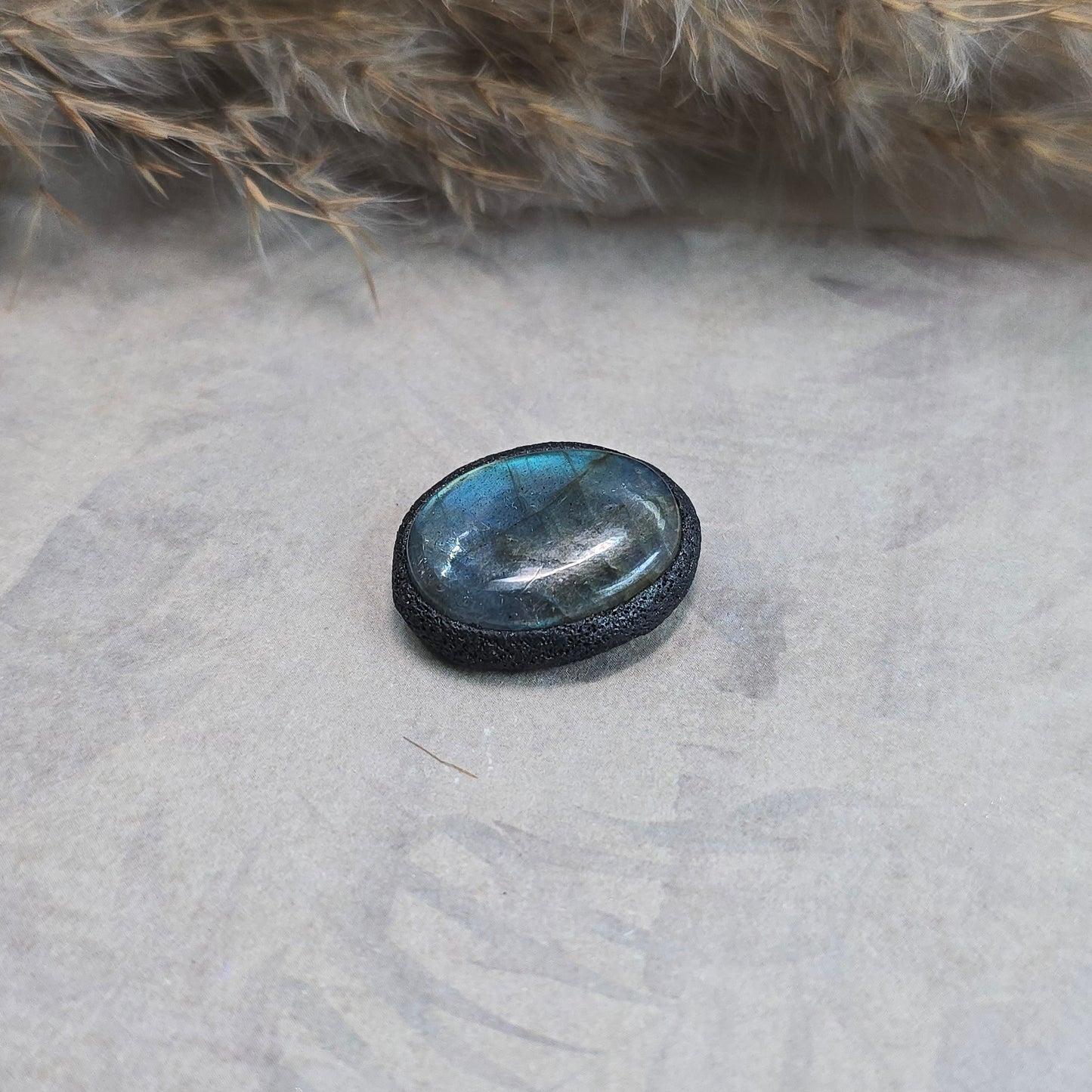 Labradoritas sargas, mažiukas