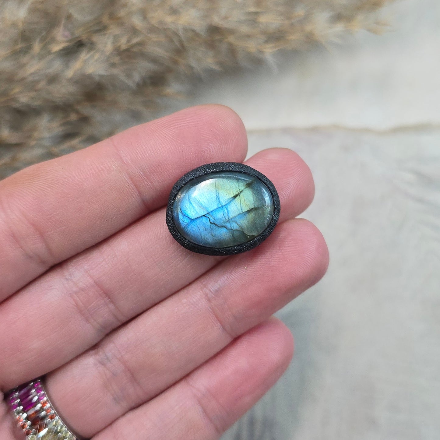 Labradoritas sargas, mažiukas