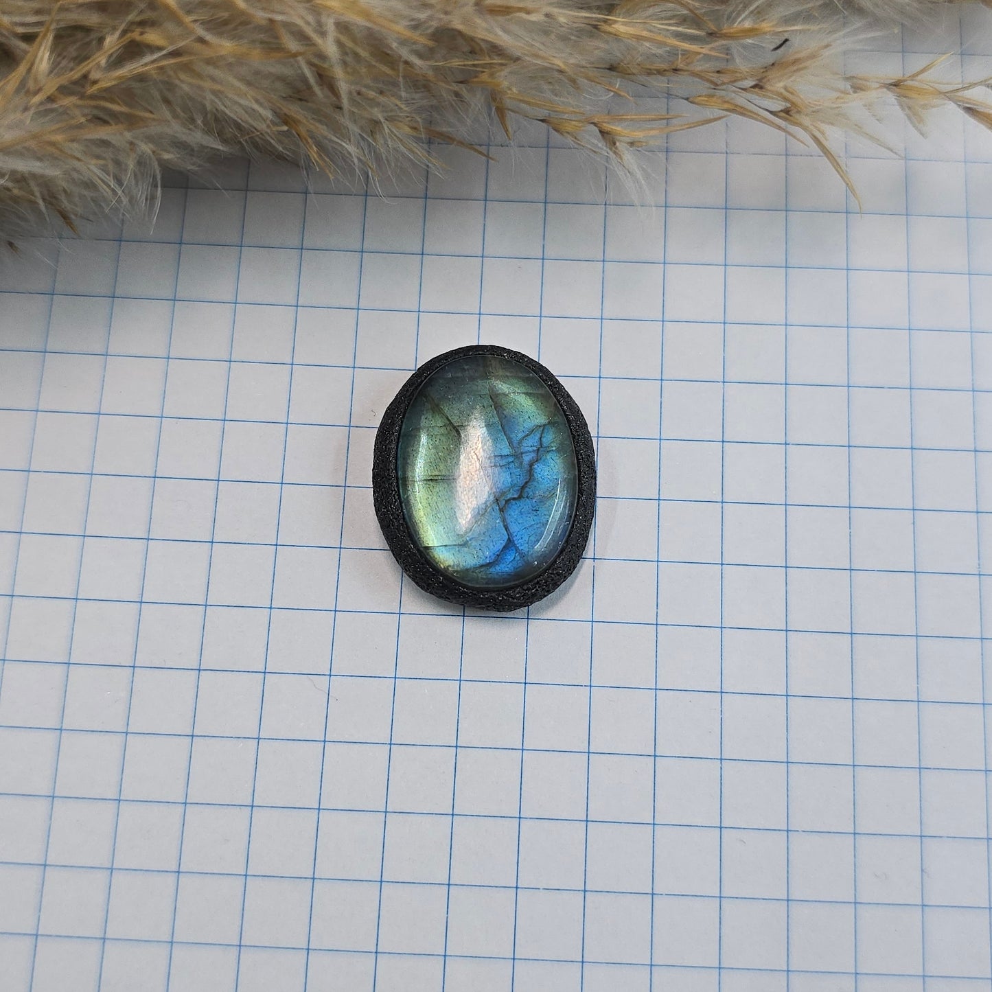 Labradoritas sargas, mažiukas