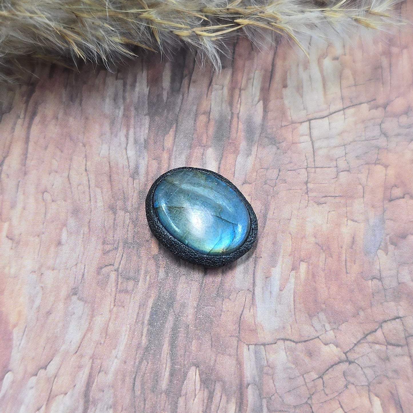 Labradoritas sargas, mažiukas