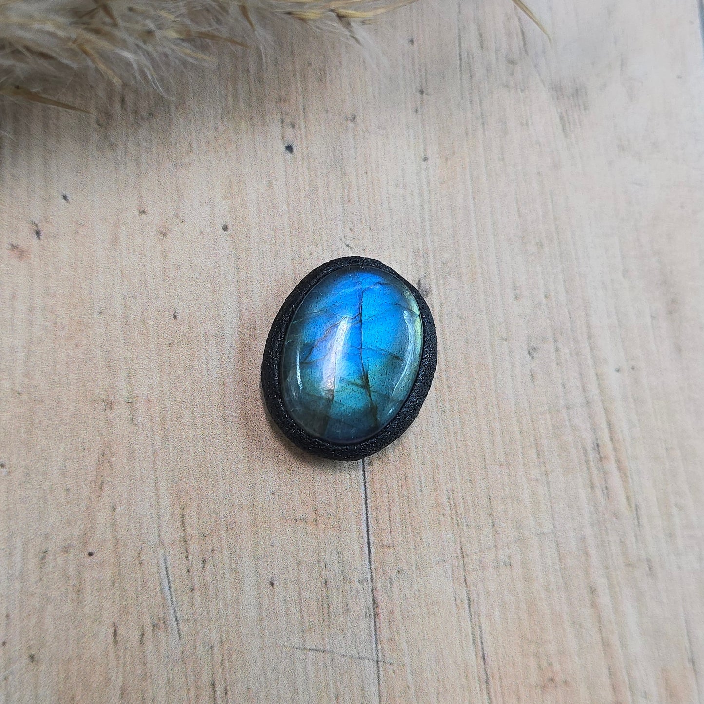 Labradoritas sargas, mažiukas